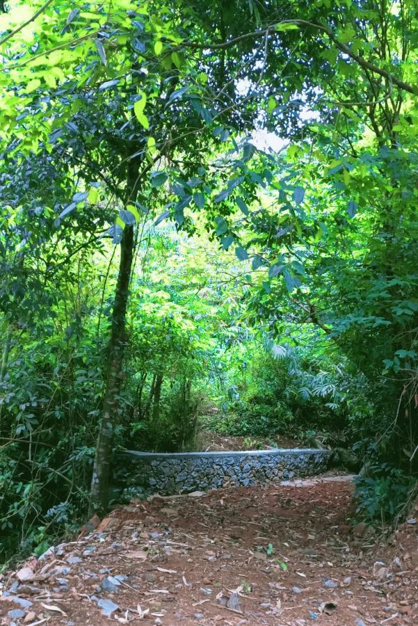 Forest And River Edge Resort Kannur Exterior foto